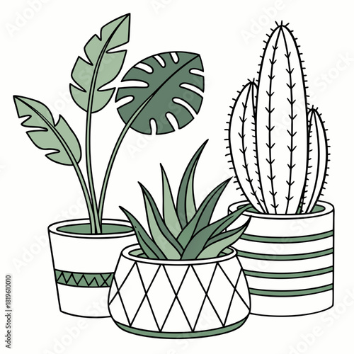 Potted house plants composition. Home and office interior houseplants. Modern green leaf, succulent, cactus decoration in planters, flowerpots. Flat vector illustration isolated on white background