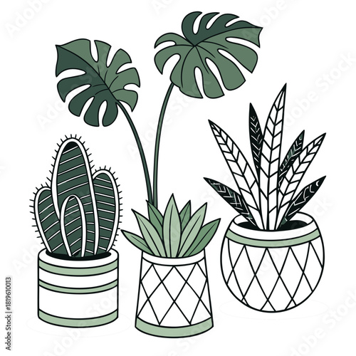 Potted house plants composition. Home and office interior houseplants. Modern green leaf, succulent, cactus decoration in planters, flowerpots. Flat vector illustration isolated on white background