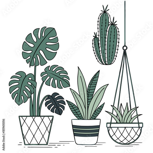 Potted house plants composition. Home and office interior houseplants. Modern green leaf, succulent, cactus decoration in planters, flowerpots. Flat vector illustration isolated on white background