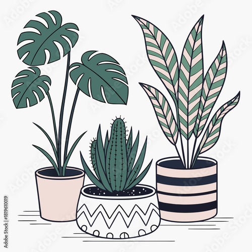 Potted house plants composition. Home and office interior houseplants. Modern green leaf, succulent, cactus decoration in planters, flowerpots. Flat vector illustration isolated on white background