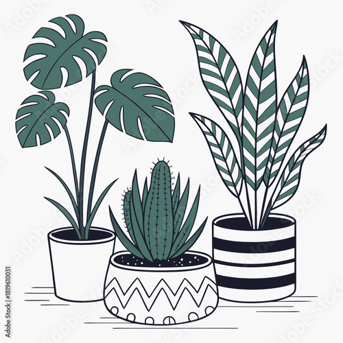 Potted house plants composition. Home and office interior houseplants. Modern green leaf, succulent, cactus decoration in planters, flowerpots. Flat vector illustration isolated on white background