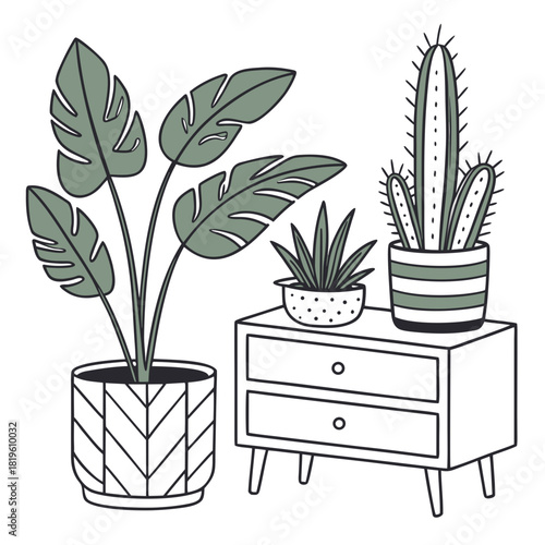 Potted house plants composition. Home and office interior houseplants. Modern green leaf, succulent, cactus decoration in planters, flowerpots. Flat vector illustration isolated on white background