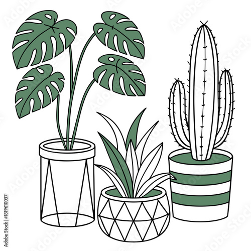 Potted house plants composition. Home and office interior houseplants. Modern green leaf, succulent, cactus decoration in planters, flowerpots. Flat vector illustration isolated on white background