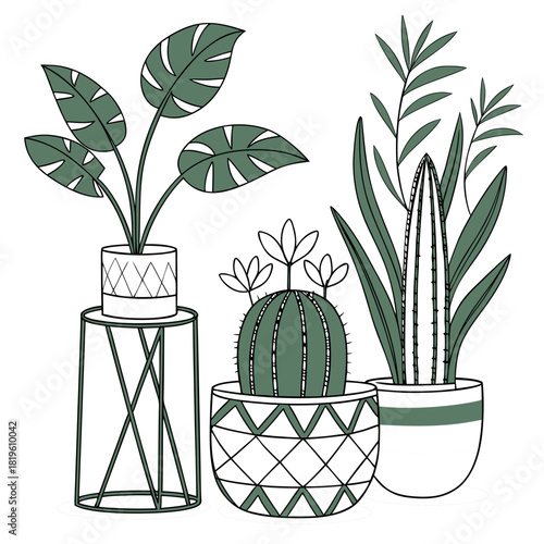 Potted house plants composition. Home and office interior houseplants. Modern green leaf, succulent, cactus decoration in planters, flowerpots. Flat vector illustration isolated on white background