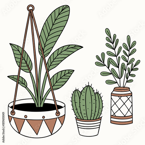 Potted house plants composition. Home and office interior houseplants. Modern green leaf, succulent, cactus decoration in planters, flowerpots. Flat vector illustration isolated on white background