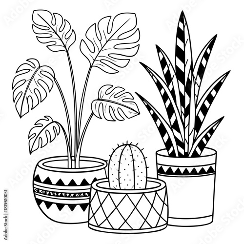 Potted house plants composition. Home and office interior houseplants. Modern green leaf, succulent, cactus decoration in planters, flowerpots. Flat vector illustration isolated on white background