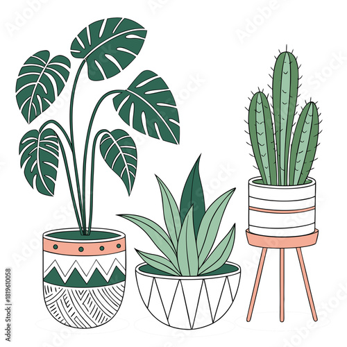 Potted house plants composition. Home and office interior houseplants. Modern green leaf, succulent, cactus decoration in planters, flowerpots. Flat vector illustration isolated on white background