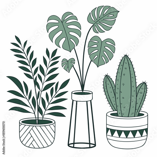 Potted house plants composition. Home and office interior houseplants. Modern green leaf, succulent, cactus decoration in planters, flowerpots. Flat vector illustration isolated on white background