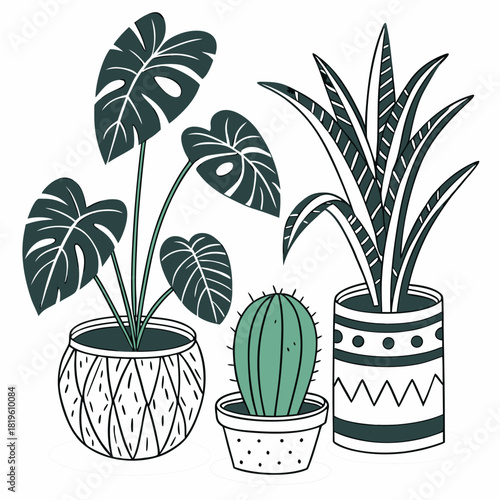 Potted house plants composition. Home and office interior houseplants. Modern green leaf, succulent, cactus decoration in planters, flowerpots. Flat vector illustration isolated on white background