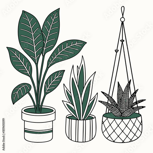 Potted house plants composition. Home and office interior houseplants. Modern green leaf, succulent, cactus decoration in planters, flowerpots. Flat vector illustration isolated on white background