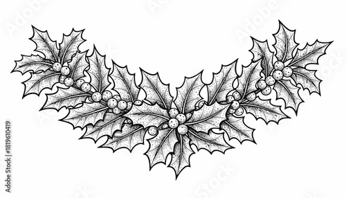 Holly branches with leaves and berries in black and white illustration  