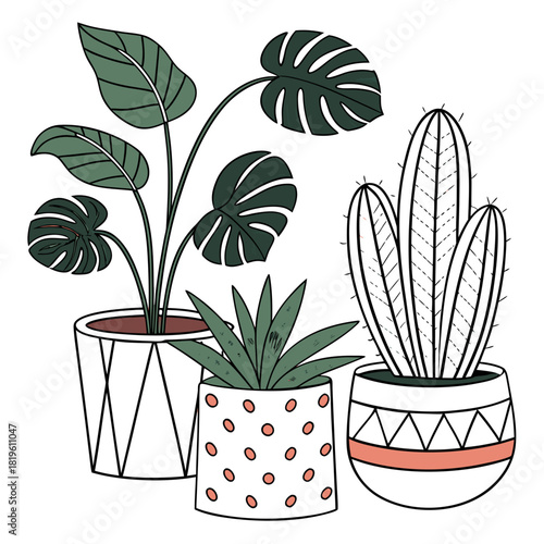 Potted house plants composition. Home and office interior houseplants. Modern green leaf, succulent, cactus decoration in planters, flowerpots. Flat vector illustration isolated on white background