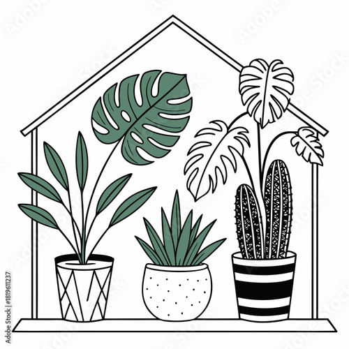 Potted house plants composition. Home and office interior houseplants. Modern green leaf, succulent, cactus decoration in planters, flowerpots. Flat vector illustration isolated on white background