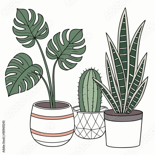 Potted house plants composition. Home and office interior houseplants. Modern green leaf, succulent, cactus decoration in planters, flowerpots. Flat vector illustration isolated on white background