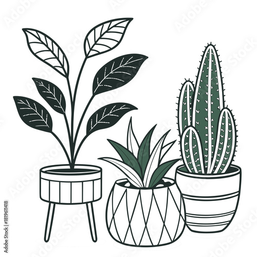 Potted house plants composition. Home and office interior houseplants. Modern green leaf, succulent, cactus decoration in planters, flowerpots. Flat vector illustration isolated on white background