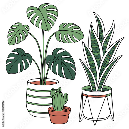 Potted house plants composition. Home and office interior houseplants. Modern green leaf, succulent, cactus decoration in planters, flowerpots. Flat vector illustration isolated on white background