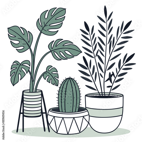 Potted house plants composition. Home and office interior houseplants. Modern green leaf, succulent, cactus decoration in planters, flowerpots. Flat vector illustration isolated on white background