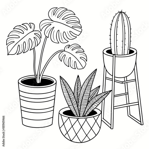 Potted house plants composition. Home and office interior houseplants. Modern green leaf, succulent, cactus decoration in planters, flowerpots. Flat vector illustration isolated on white background