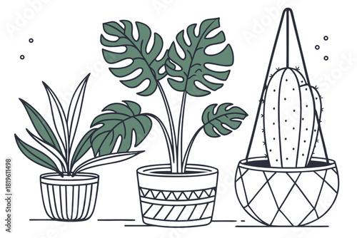 Potted house plants composition. Home and office interior houseplants. Modern green leaf, succulent, cactus decoration in planters, flowerpots. Flat vector illustration isolated on white background