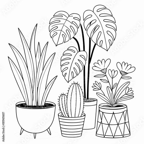 Potted house plants composition. Home and office interior houseplants. Modern green leaf, succulent, cactus decoration in planters, flowerpots. Flat vector illustration isolated on white background
