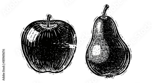 Vintage illustration of apple and pear in detailed sketch style  