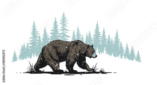 Bear walking in winter forest with snow and evergreen trees  