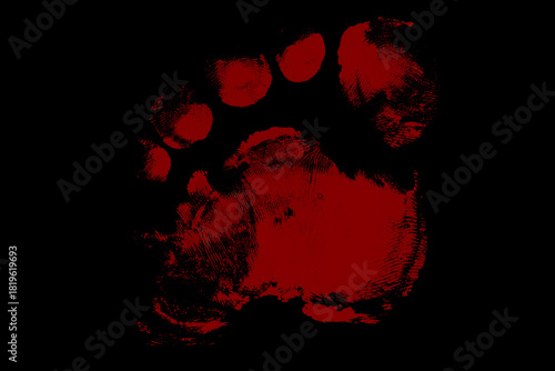 Single bloody footprint on black surface for horror concept