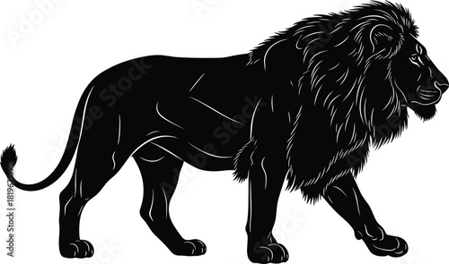 Walking Male Lion Silhouette Vector Illustration, Detailed Mane and Powerful Stride Graphic, Wild African Animal Icon, Predator and Safari Wildlife Design, Black Monochrome on White