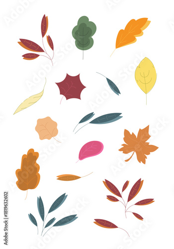 Doodle collection of tree leaves. Abstract bright leaves of various shapes and colours. Botanic fall season hand drawn doodle tree leaves set for seasonal design and holidays.