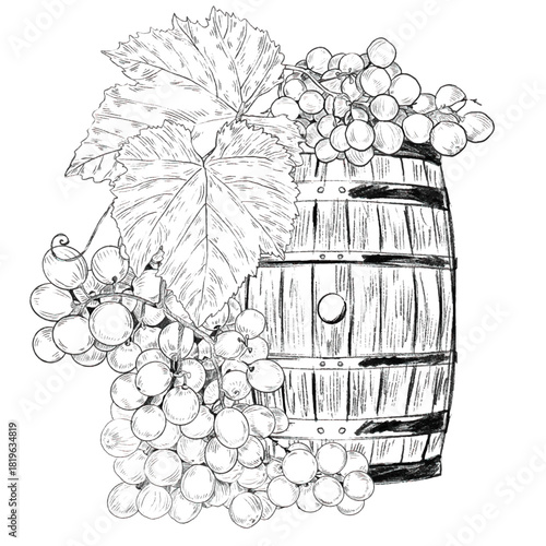 Wooden barre and grape branch with bunches of grapes and leaves. Concept of winemaking, production and sale of wine, growing grapes. Black and white graphics for wine stories, tasting, market, menu.