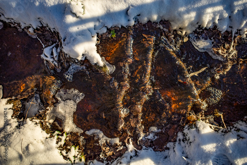 Close-up of a small stream flowing through snow-covered banks, with sunlight glinting on the water