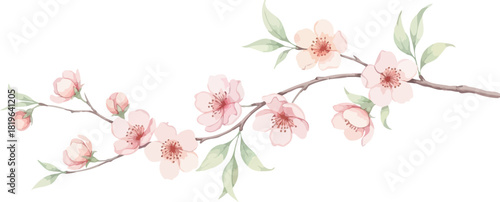A watercolor painting of a flowering branch with pink blossoms and delicate green leaves on white