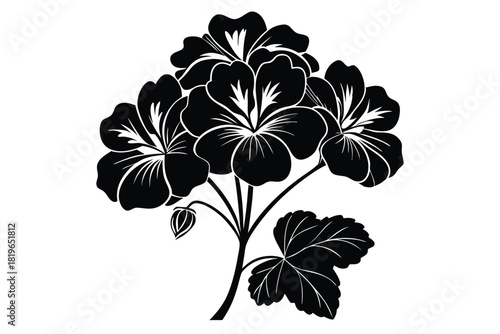 A monochrome geranium flower and leaf are showcased in a stylish silhouette