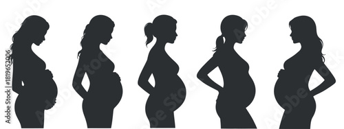 Pregnancy Silhouette of Pregnant Woman Stages Trimesters of Fetus Development Isolated on Transparent Background Clean Composition High Quality