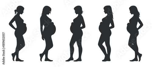 Pregnancy Silhouette of Pregnant Woman Stages Growth Belly Development Isolated on Transparent Background Clean Composition Minimal Professional Vector