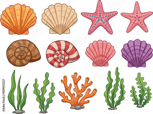Colorful collection of sea shells, starfish, seaweed, and coral elements for ocean-themed design, marine decoration, underwater graphics, and tropical summer illustrations