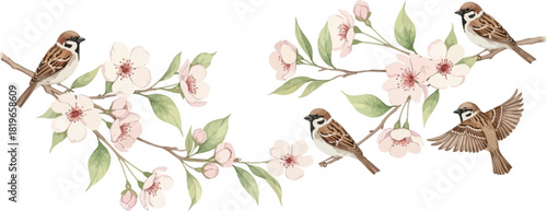 Watercolor painting of sparrows perched on flowering branches with delicate pink blossoms and green leaves
