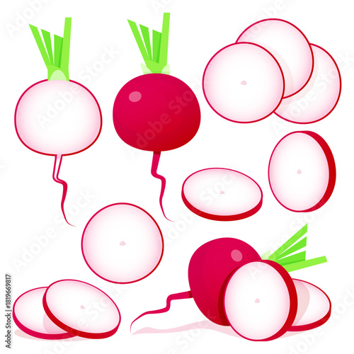 Fresh Radishes and Slices Vegetable Collection