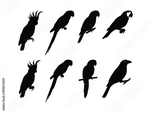 Collection of exotic parrot and cockatoo silhouettes in black, featuring tropical birds perched in various positions