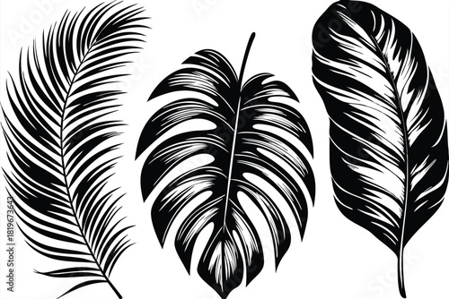 Bold black and white silhouette shows tropical palm frond and monstera leaves