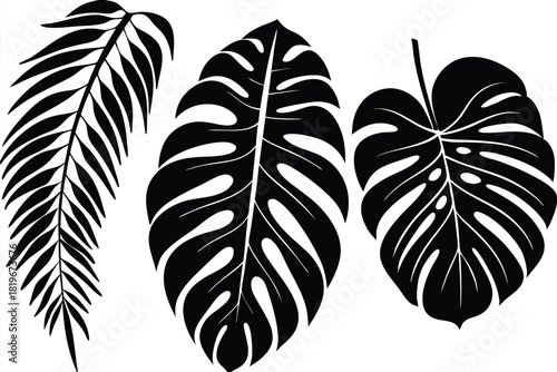 Black monstera and palm leaf silhouettes offer a simple yet striking tropical foliage composition