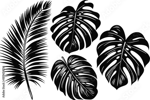 Collection of four tropical plant leaves are presented in a striking black silhouette
