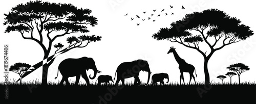 African safari wildlife silhouettes with elephants giraffe acacia trees savanna landscape flying birds nature scene vector illustration isolated white background