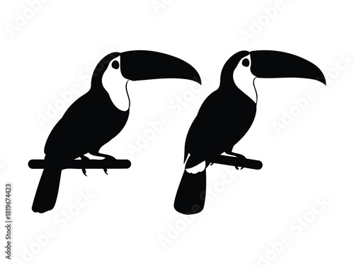 Two black toucan silhouettes perched on a branch, tropical bird icon illustration