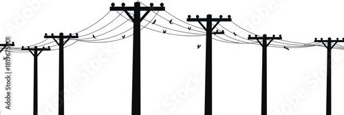 Electric power line silhouettes with birds on wires utility poles industrial energy transmission vector illustration isolated white background landscape minimal design