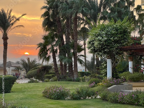 A magnificent golden sunset among palm trees, green lawns, and trimmed bushes of a well-kept hotel