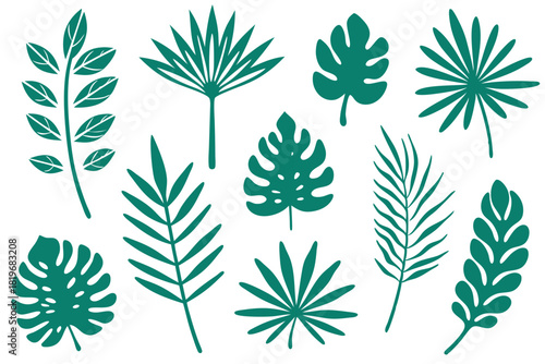 Collection of various silhouette tropical leaves showing different shapes and sizes in an elegant display