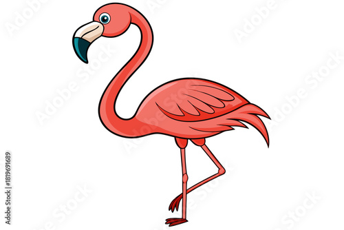 Flamingo bird cartoon vector art illustration