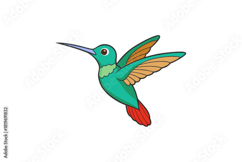 Humming bird cartoon art vector art illustration