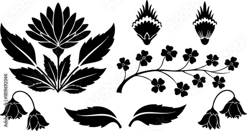 Black floral silhouette design with leaves flowers and decorative elements vector illustration